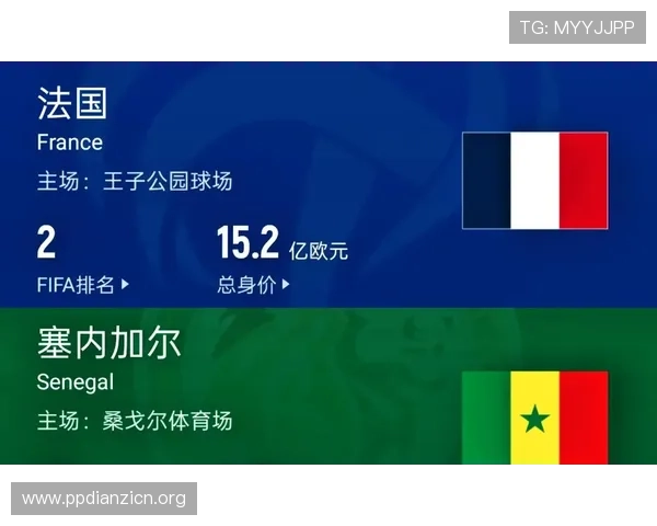 世界杯塞内加尔对阵伊拉克比赛结果总结，胜负原因与未来展望深度解析